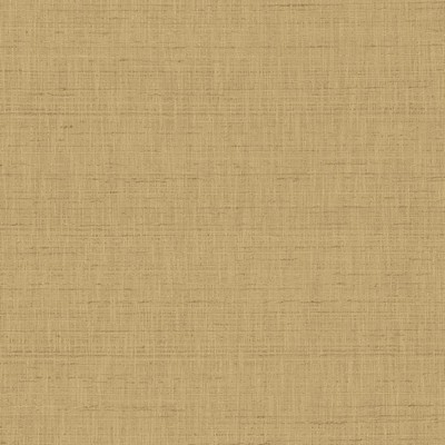 Kasmir With A View Latte in 5170 Beige Polyester
37%  Blend Fire Rated Fabric Heavy Duty CA 117  NFPA 260   Fabric